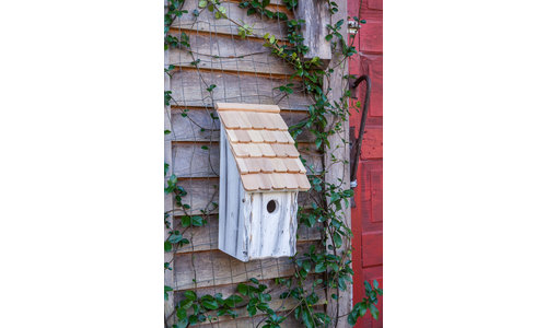 Cypress Bird Houses