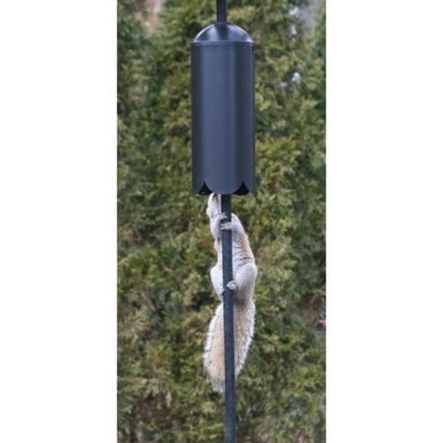 Dome Squirrel Baffle