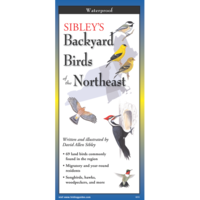 Backyard Birds of the NE Folding Guide