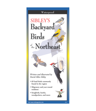 Earth sky water Backyard Birds of the NE Folding Guide