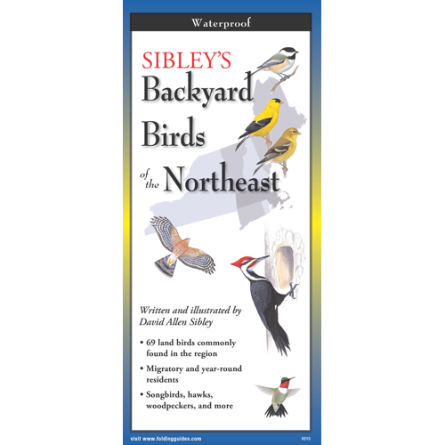 Earth sky water Backyard Birds of the NE Folding Guide   Earth sky water Backyard Birds of the NE Folding Guide