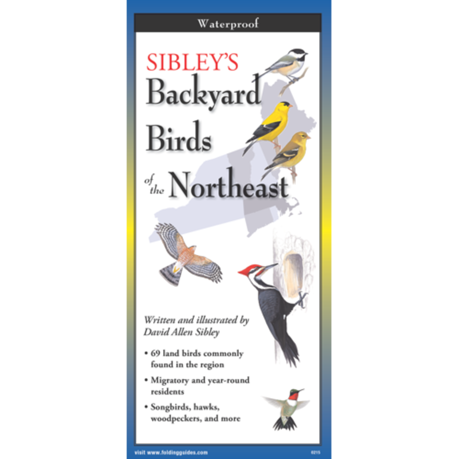 Backyard Birds of the NE Folding Guide