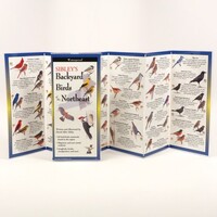 Backyard Birds of the NE Folding Guide