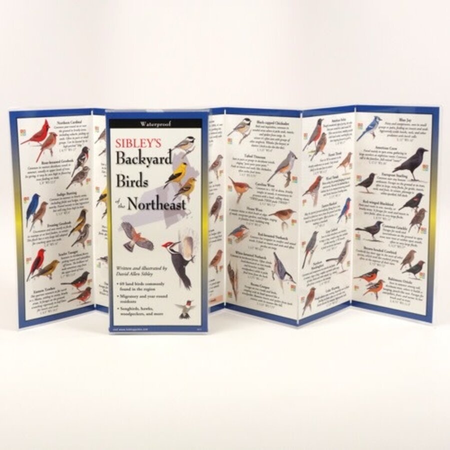 Backyard Birds of the NE Folding Guide
