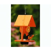 Fruit & Jelly Oriole Feeder