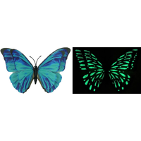Glow in the Dark Butterfly Magnet