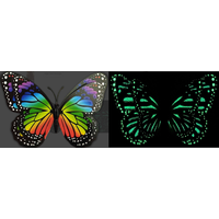 Glow in the Dark Butterfly Magnet