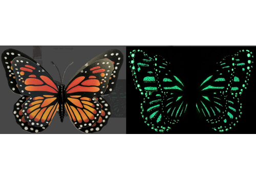  Glow in the Dark Butterfly Magnet 