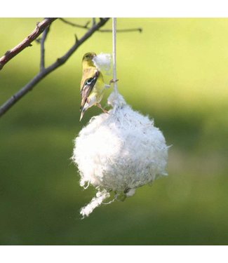 Cottontail Nest Building Ball