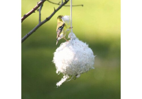 Cottontail Nest Building Ball   Cottontail Nest Building Ball