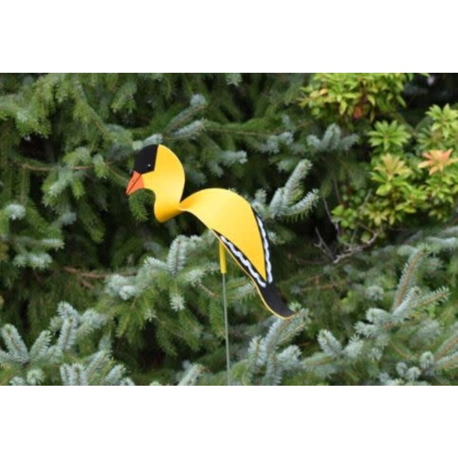 Dancing Goldfinch