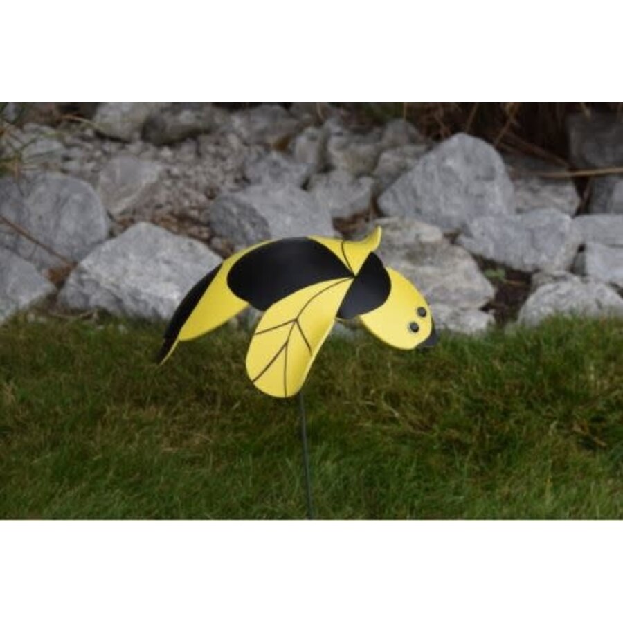 Honey Bee Dancing Bird