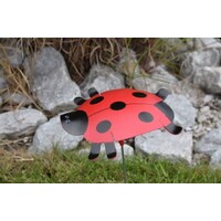 Ladybug Outdoor