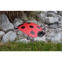 Ladybug Outdoor