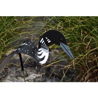 Loon Dancing Bird