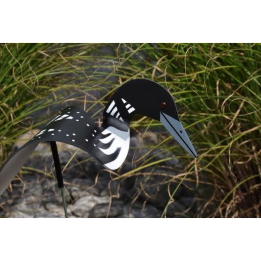 Loon Dancing Bird