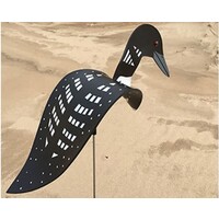 Loon Dancing Bird