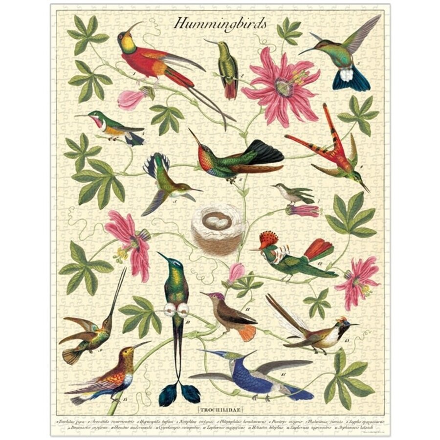 Vintage Hummingbird Puzzle 1000 PC