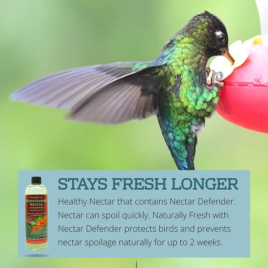 HB Nectar Liquid Concentrate