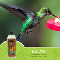 HB Nectar Liquid Concentrate