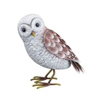 Barn Owl - SM