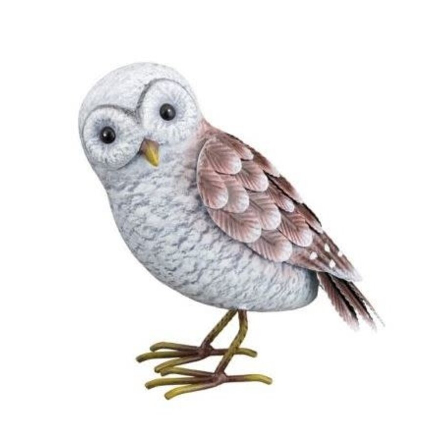 Barn Owl - SM