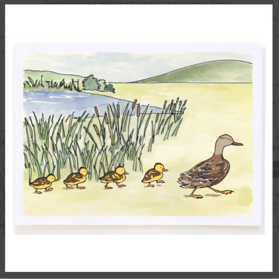 Duck and Ducklings Card