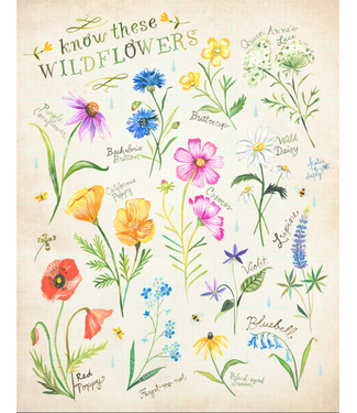 Katie Daisy Know These Flowers Print