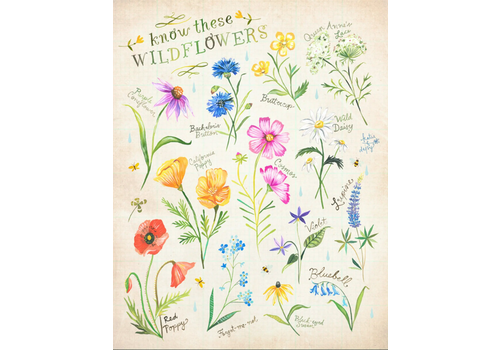  Katie Daisy Know These Flowers Print 