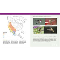 Hummingbird Handbook