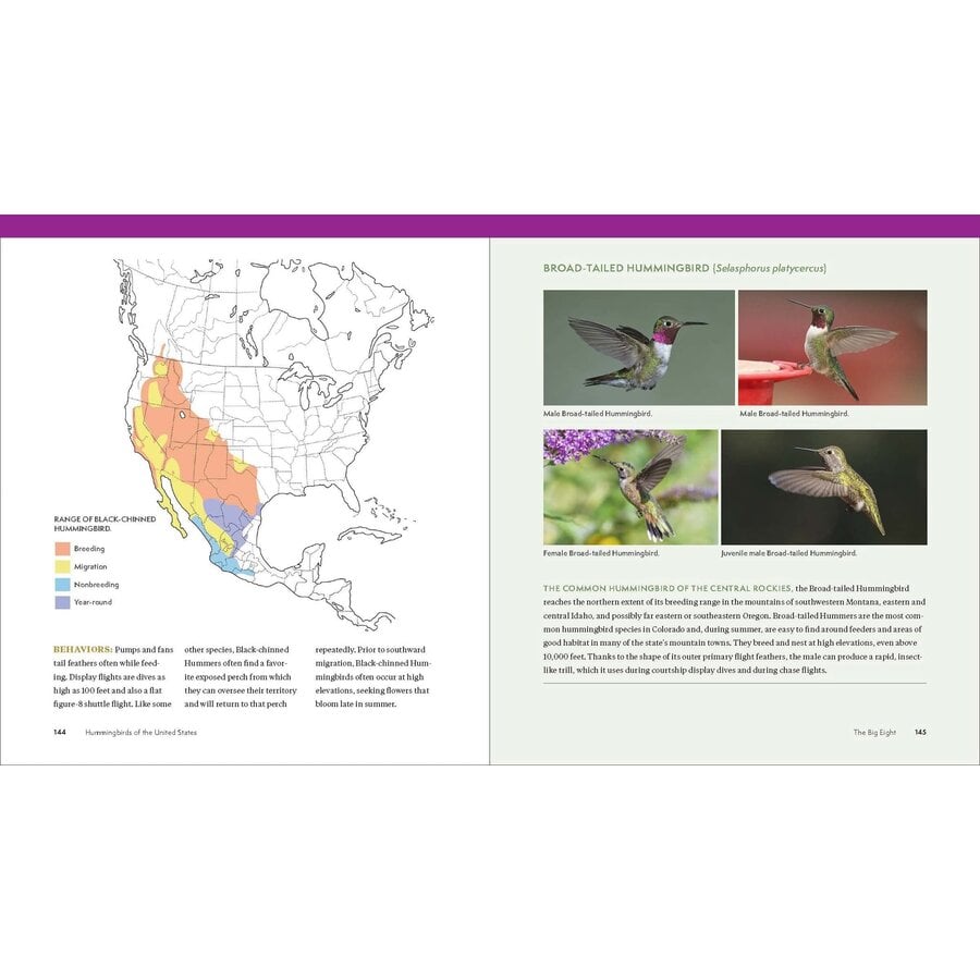 Hummingbird Handbook
