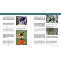 Hummingbird Handbook