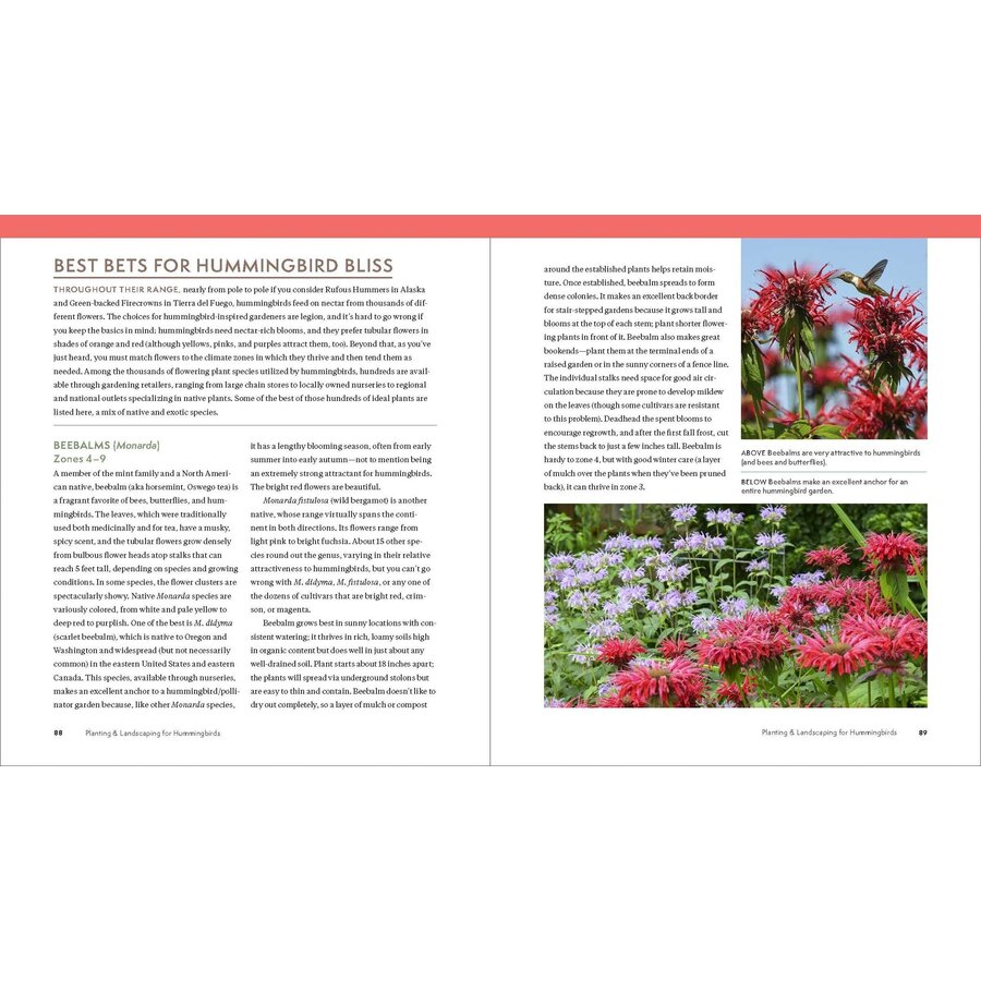 Hummingbird Handbook