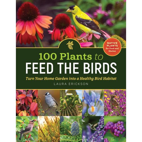  100 Plants to Feed the Birds 