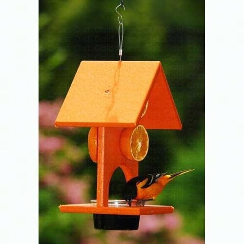 Oriole Feeders