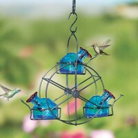 Ferris Wheel HB Feeder