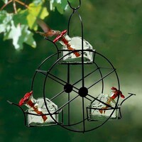 Ferris Wheel HB Feeder