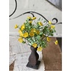11" Evening Primrose Bush