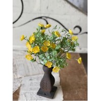 11" Evening Primrose Bush