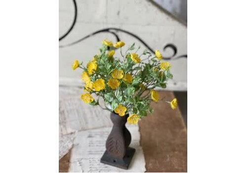  11" Evening Primrose Bush 