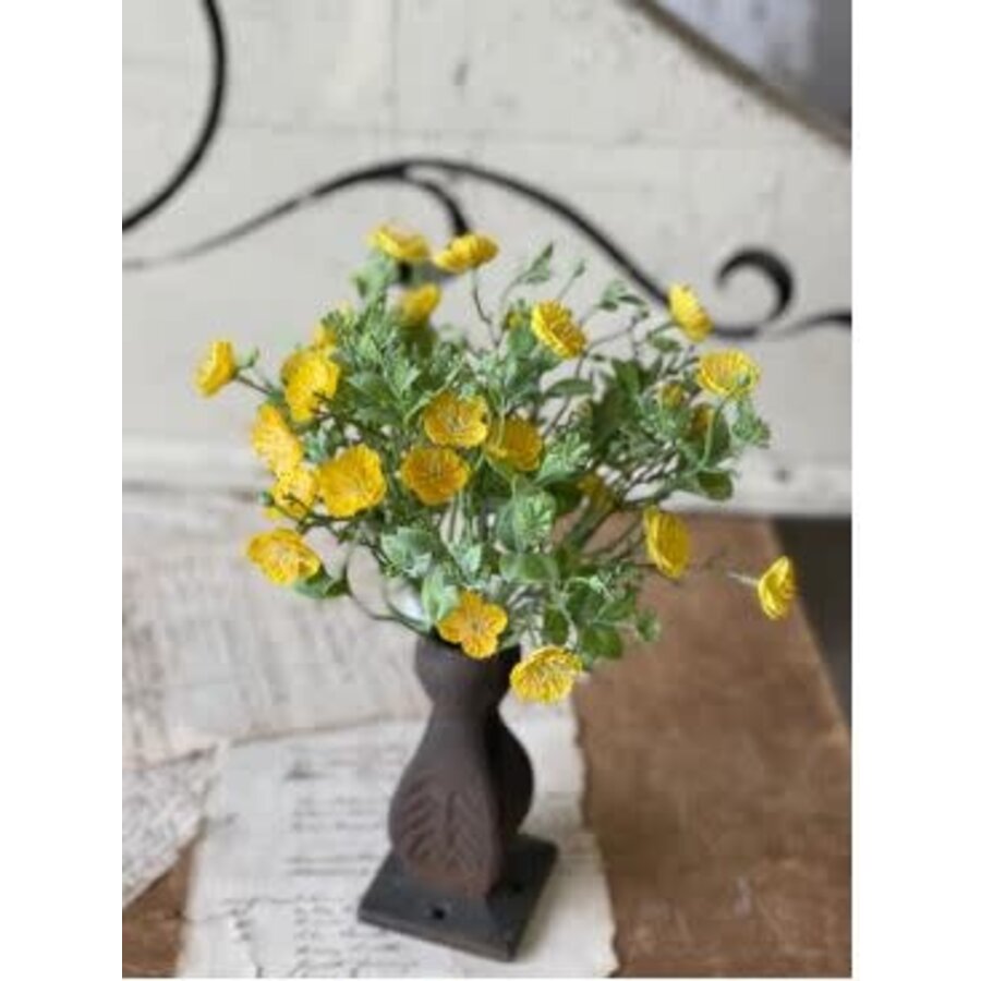 11" Evening Primrose Bush