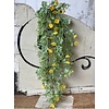 34" Evening Primrose Hanging