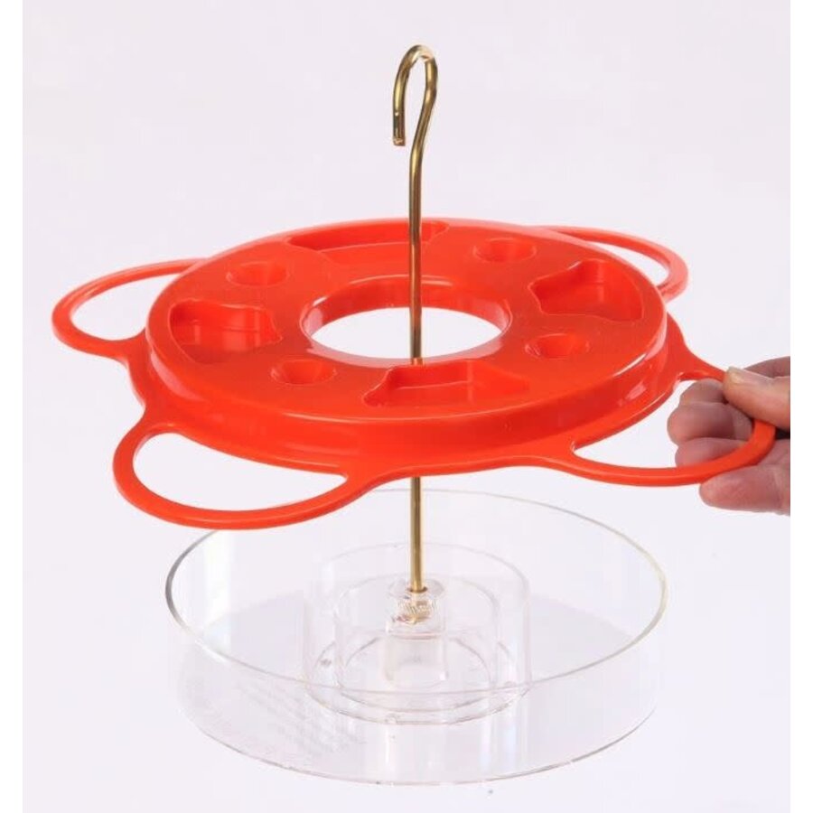 BC Oriolefest Oriole Feeder
