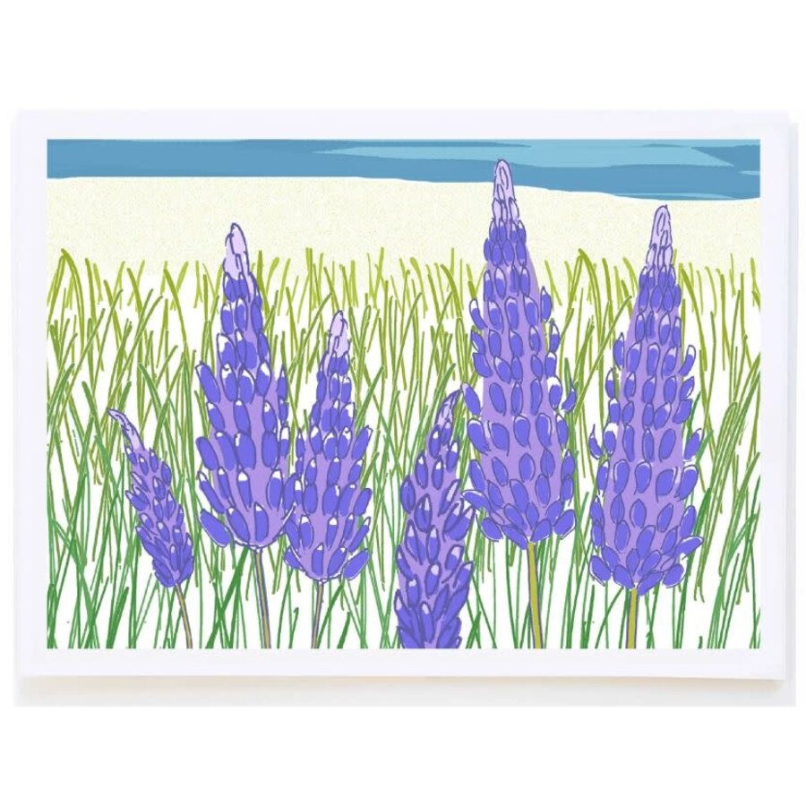 Lupine Card