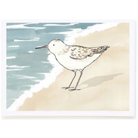 Sandpiper Card
