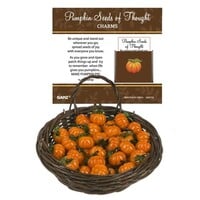 Pumpkin Seeds of Thought Charm
