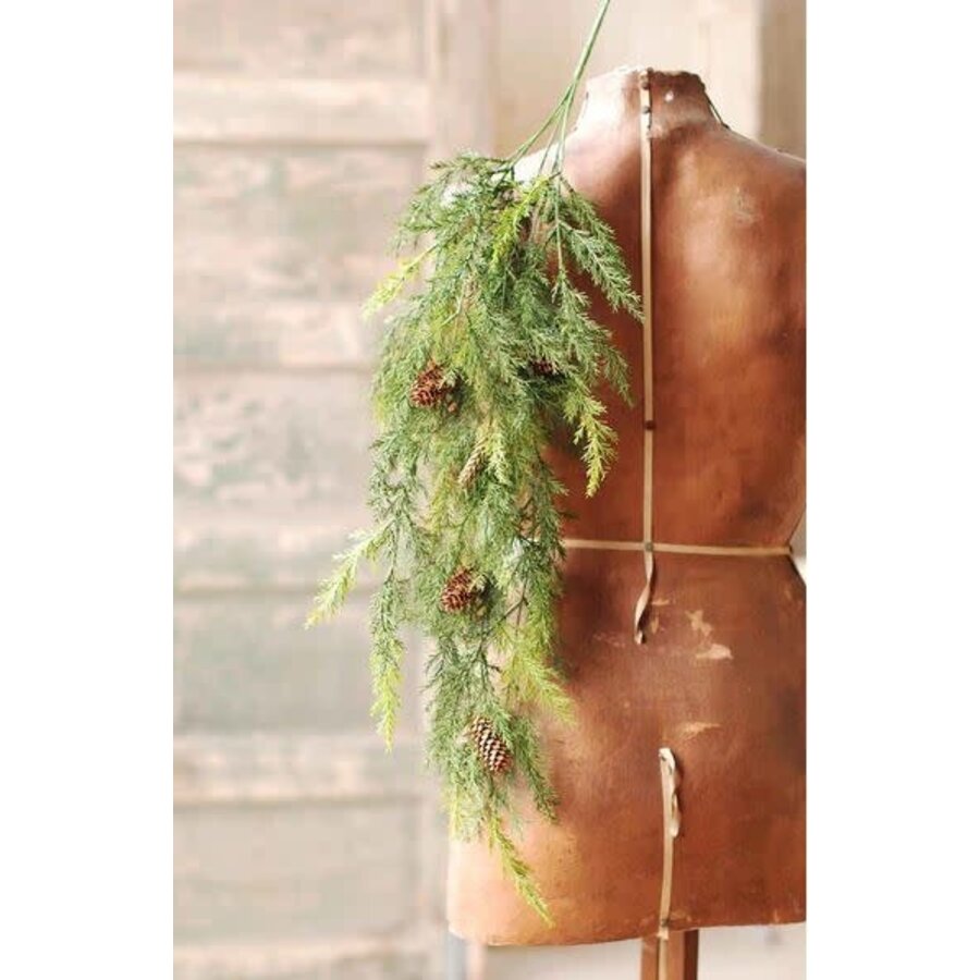 Prickly Pine Hanging