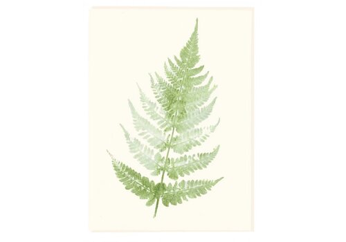  Molly O Fern Sympathy Card 