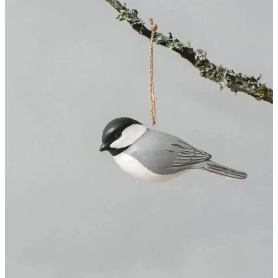 Hanging chickadee