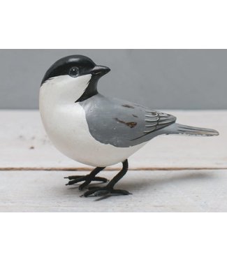 Aviologie Mini Chickadee